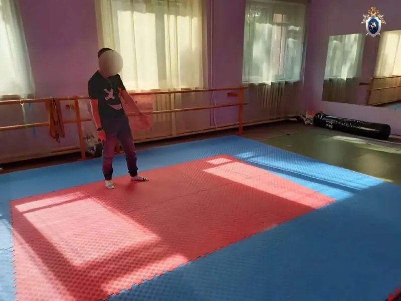 Тренера по каратэ отправили в колонию за удар ребенка ногой