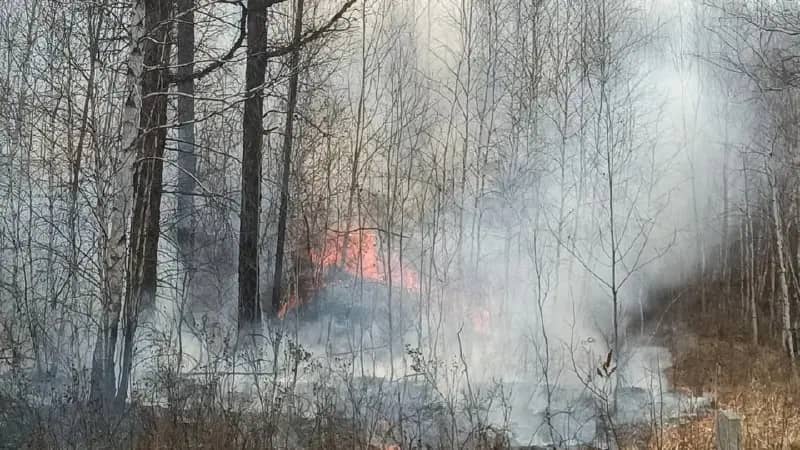 Южноуральцам напомнили о штрафах за сжигание травы и мусора