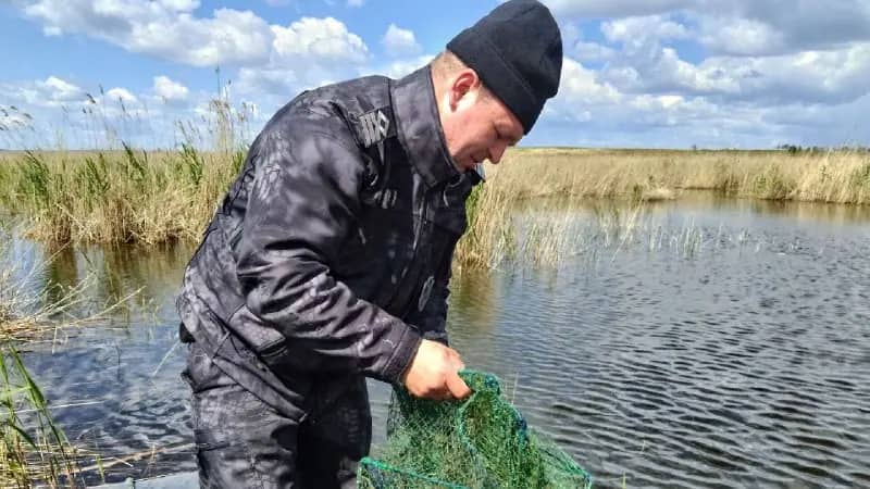 Челябинцы пожаловались на массовый вылов рыбы из озера Синеглазово