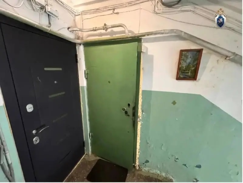Житель Челябинска получил 8 лет колонии за убийство брата