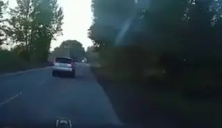 В Копейске водитель едва не сбил выбежавшего на дорогу лося