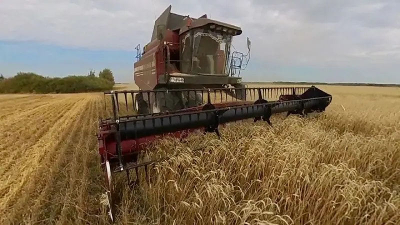 Аграрии Челябинской области намолотили 1,5 млн тонн зерна
